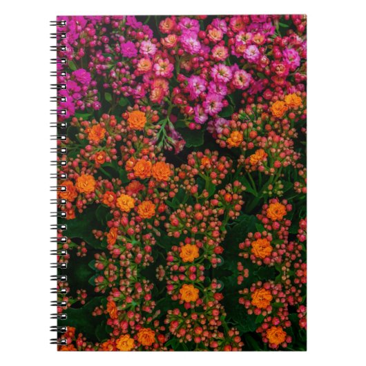 花カラフル帳 ノートブック (正面)