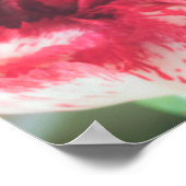 花カラフル束 ポスター (角)