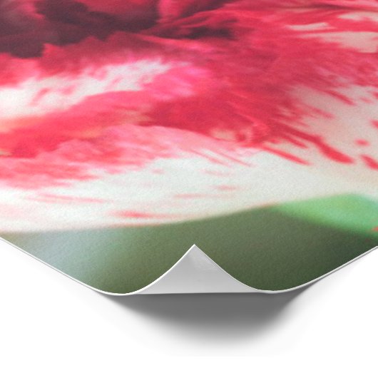 花カラフル束 ポスター (角)