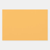 花カラフル花びら水彩模様絵を描の ラッピングペーパーシート (正面2)