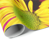 花カラフル、デイジー – ブルーイエローピンク ラッピングペーパー (ロールコーナー)