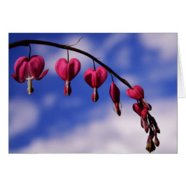 [花カラフル]出血ハートグリーティングカード