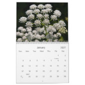 花カレンダー2012 カレンダー (1月 2027)