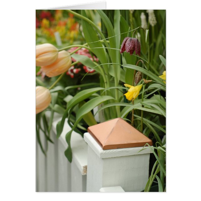 花カードのゲート (正面)