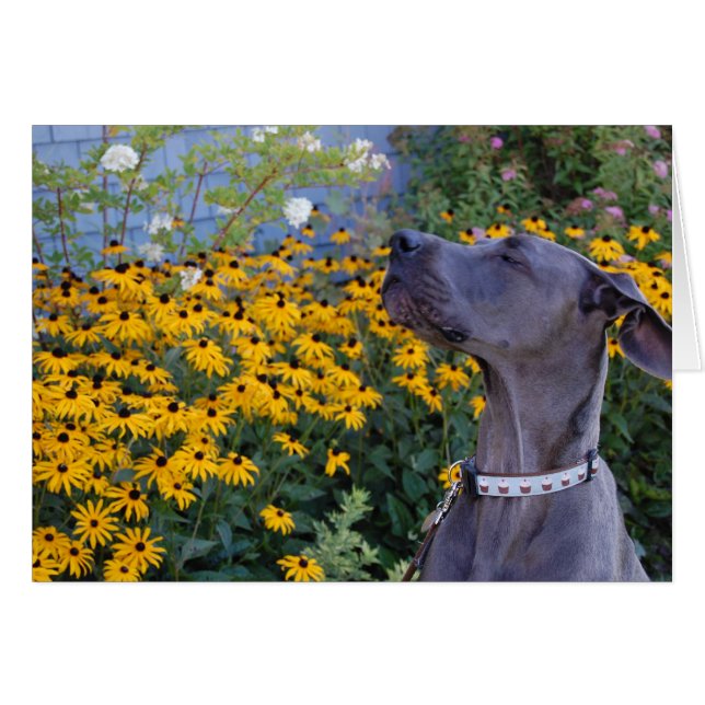 花カードをストップ、かいで下さい (正面横)