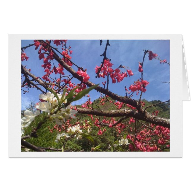 花カード (正面横)