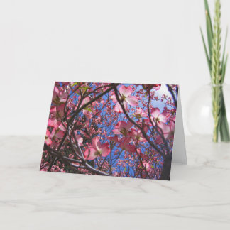 花カード カード