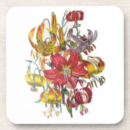 花カーニバル コースター