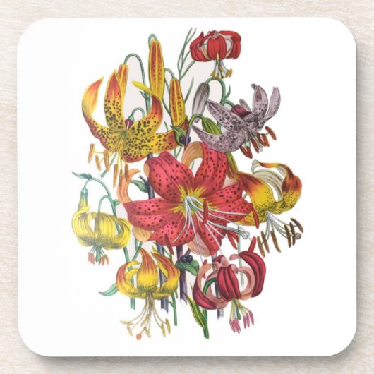 花カーニバル コースター (正面)