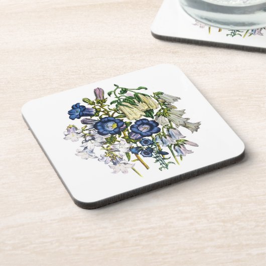 花カーニバル コースター (左側)