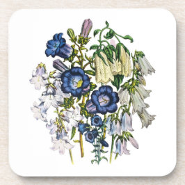 花カーニバル コースター