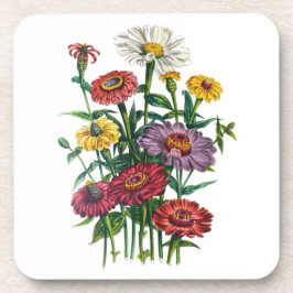 花カーニバル コースター