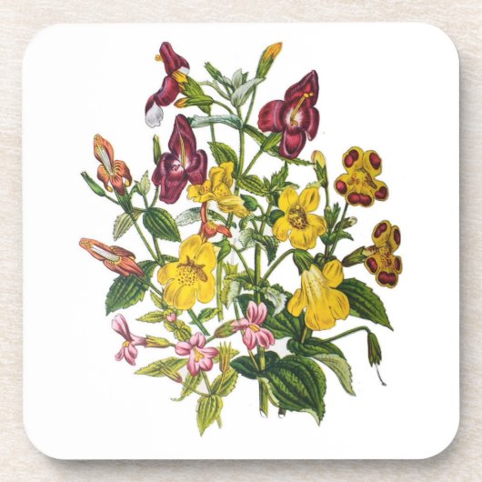 花カーニバル コースター (正面)