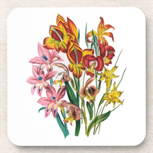 花カーニバル コースター (正面)