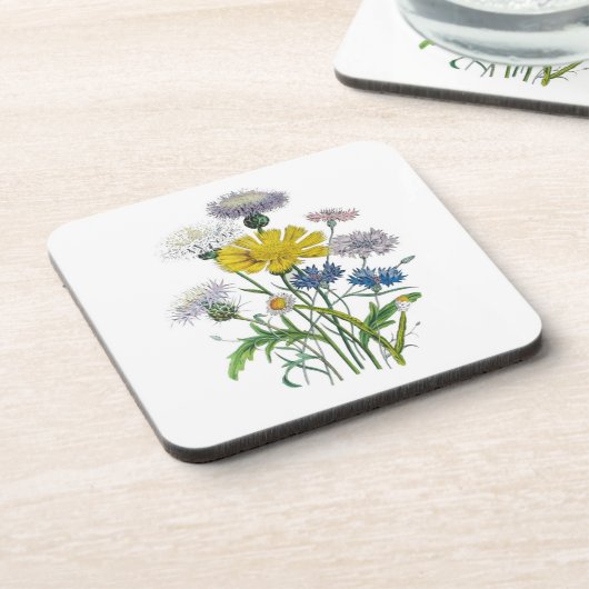 花カーニバル コースター (左側)