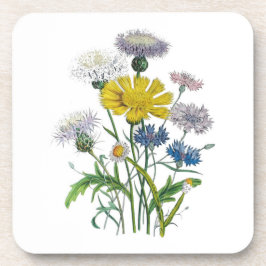 花カーニバル コースター