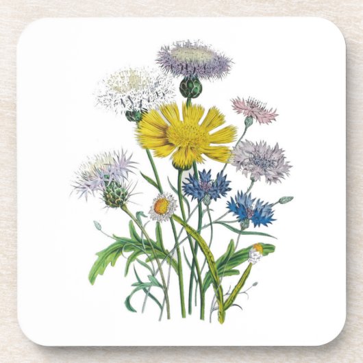 花カーニバル コースター (正面)