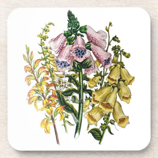 花カーニバル コースター (正面)