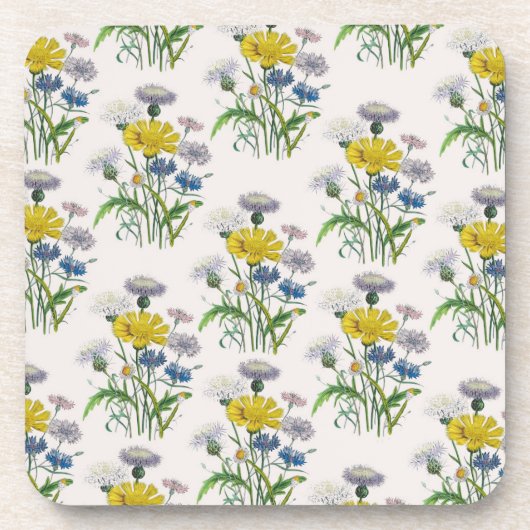 花カーニバル コースター (正面)