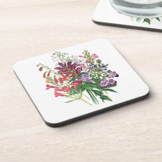 花カーニバル コースター (左側)