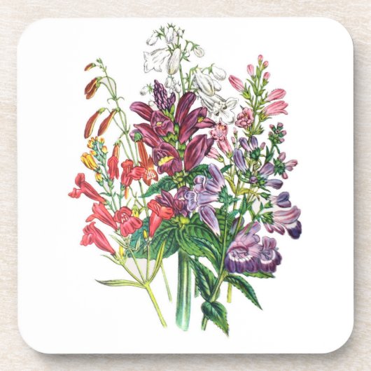 花カーニバル コースター (正面)