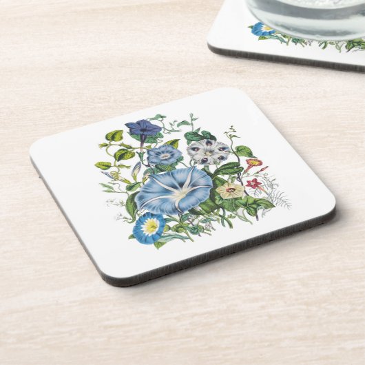 花カーニバル コースター (左側)