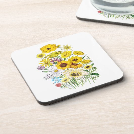 花カーニバル コースター (左側)