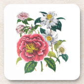 花カーニバル コースター (正面)