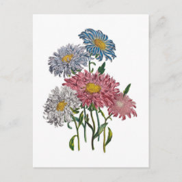 花カーニバル ポストカード