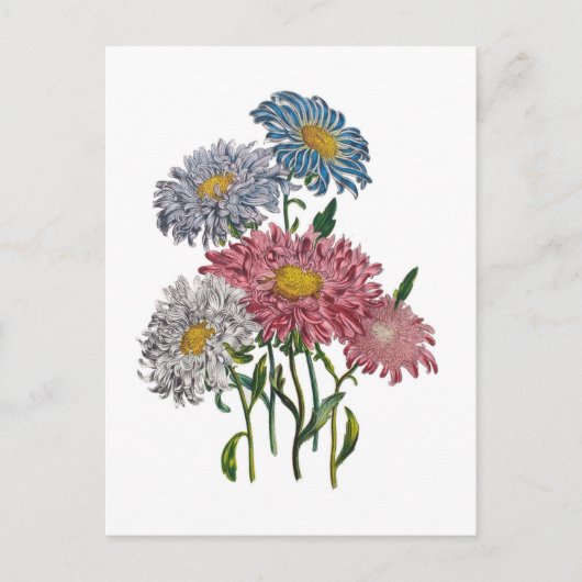 花カーニバル ポストカード (正面)