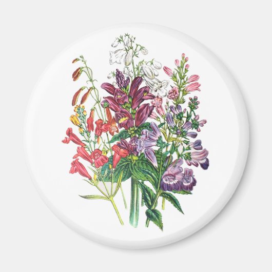 花カーニバル マグネット (正面)