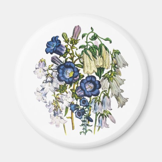 花カーニバル マグネット (正面)