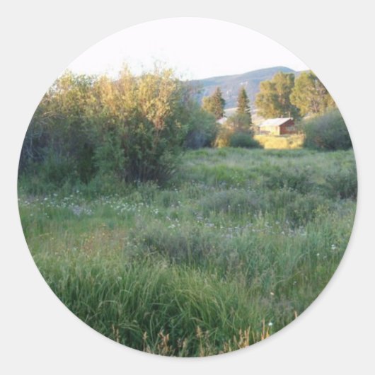 花コロラド州ステッカー ラウンドシール (正面)