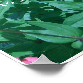 花ストップの匂いを嗅ぐ ポスター (角)