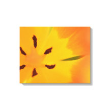 花チューリップ