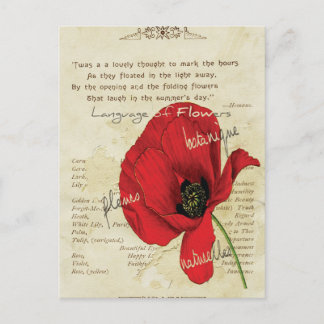 花ビクトリアンの言語 ポストカード