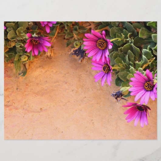 花フレーム チラシ (正面)