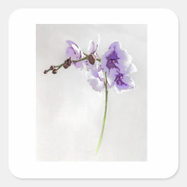 花プリントシール スクエアシール