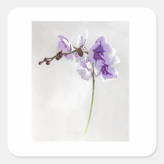 花プリントシール スクエアシール (正面)