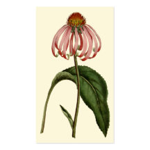 花プロフはっきりしたァイルカード