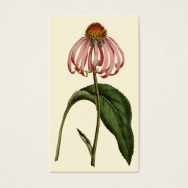 花プロフはっきりしたァイルカード