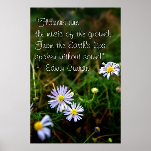 花ポスター ポスター (正面)