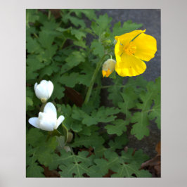 花ポスター ポスター