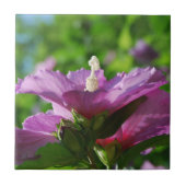 花ムクゲ タイル (正面)