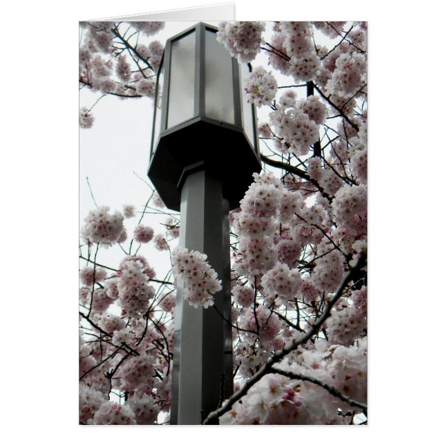 花ランプ (正面)