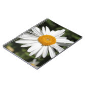 花人気がある白かわいらしデイジー写真 ノートブック (左側)