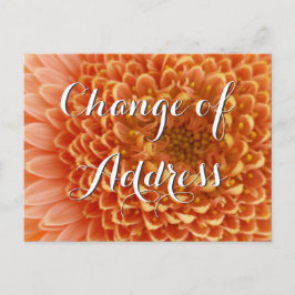 花写真付き住所はがきの変更 案内ポストカード