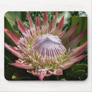 花写真王プロテア マウスパッド