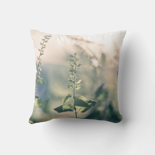 花写真 クッション (裏面)