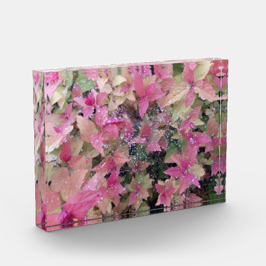 花写真 フォトブロック (左)